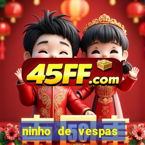 ninho de vespas significado espiritual